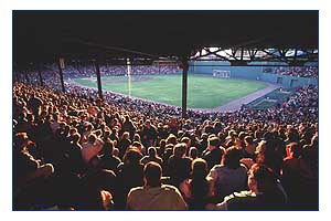 The fans at sunset
