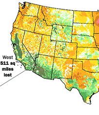 map of vegetation & tides