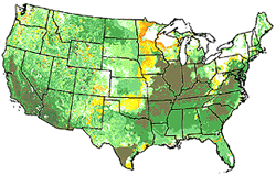 map of vegetation