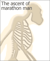 Marathon graphic