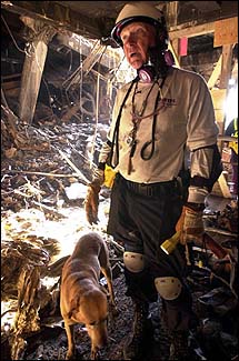 Four-legged rescuers