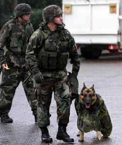 Four-legged rescuers
