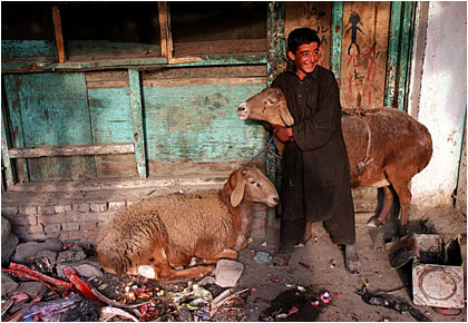 Afghanistan: 2002 in pictures / Photos by Jonathan Wiggs