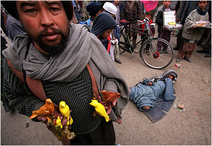 Afghanistan: 2002 in pictures / Photos by Jonathan Wiggs