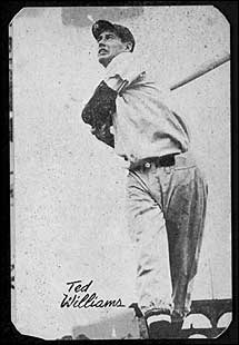 Ted Williams