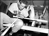 Ted Williams Wallpaper