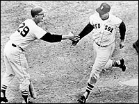 Ted Williams Wallpaper