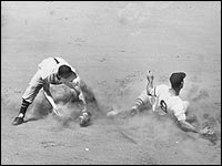 Ted Williams Wallpaper