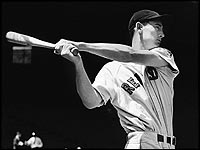 Ted Williams Wallpaper