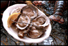 oysters