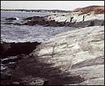 Saco Bay